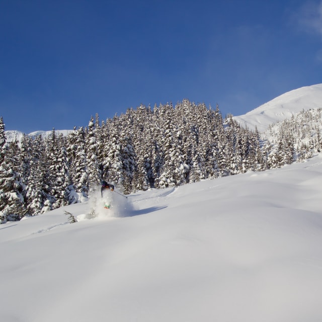 Heli-Skiing photo from February  2, 2025